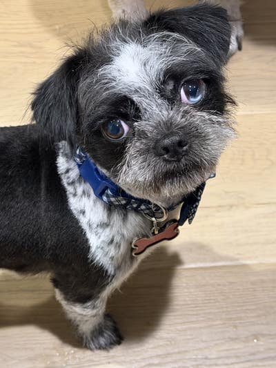 Room wanted in San Marcos, TX Main Photo