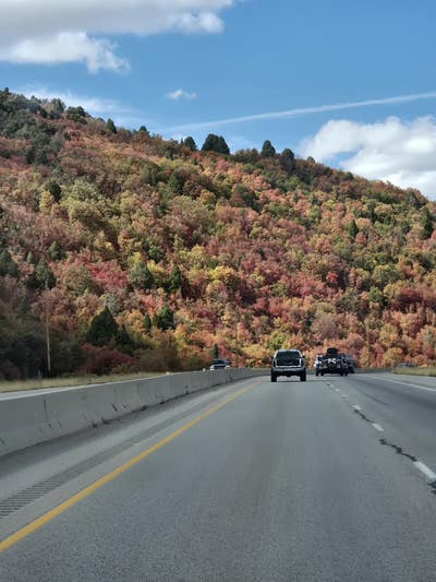 Room wanted in Manhattan, NY Main Photo