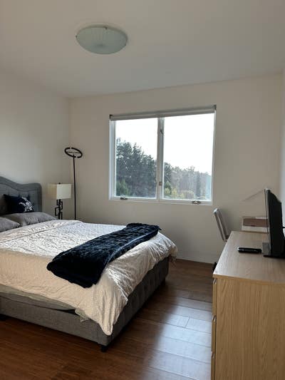 Oakland Hills Gem Main Photo