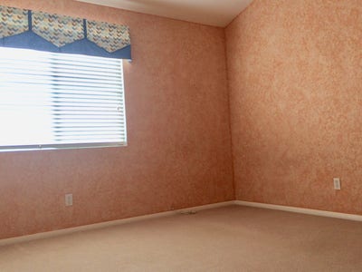 Room in very clean, quiet and eco-conscious home Main Photo