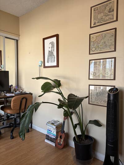 Looking for roommate and in Hollywood, $1086 p/m Main Photo