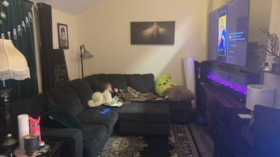 Looking for stable and peaceful roommate  Main Photo