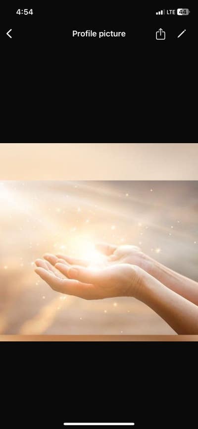 Room wanted in Tampa Main Photo