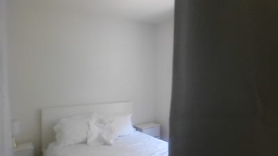 Roommate Wanted – Furnished Studio Share the Park  Main Photo