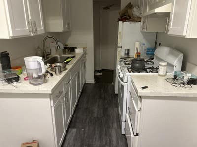 Looking for a working room mare Main Photo