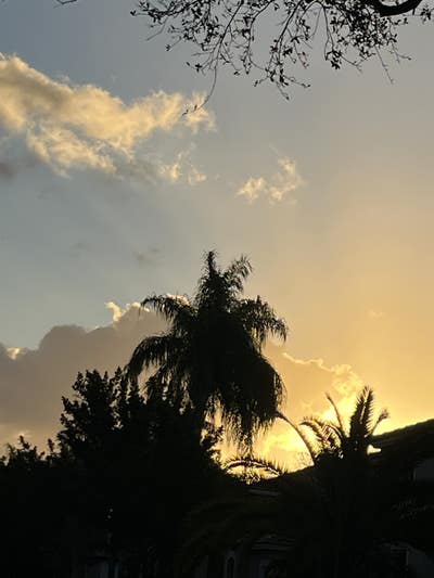 Urgent need today  Main Photo