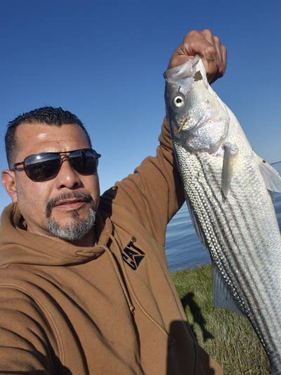 Room wanted in Vallejo, CA Main Photo