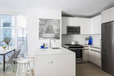 1B Lease Takeover Available in Jackson Park, LIC Main Photo