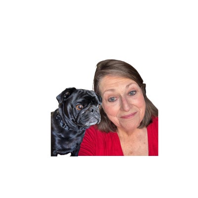 Room wanted in Austin, TX Main Photo