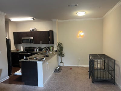 Room available in 2 bed 2 bath appartment Main Photo