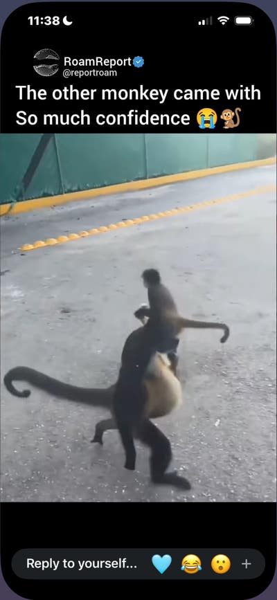 Room wanted in Chandler, AZ Main Photo