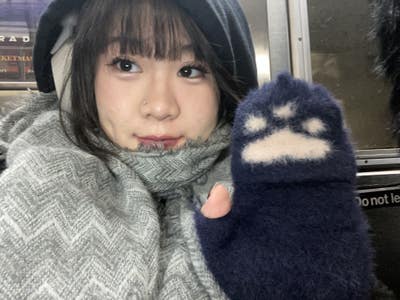 Room wanted in New York Main Photo