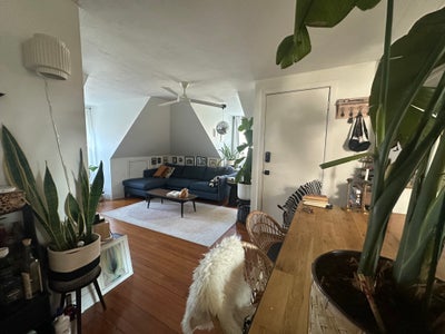 Sunny Attic Apartment. Roof Deck & parking Main Photo