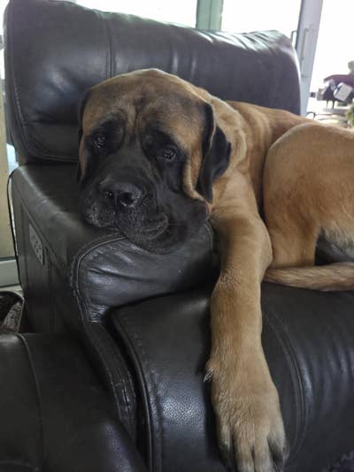 Room wanted in Tampa, FL Main Photo