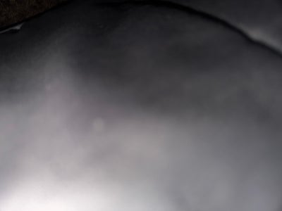 Student looking for a room in Garden Grove Main Photo