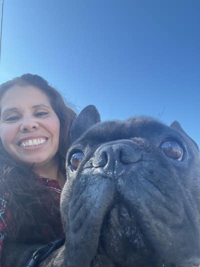 Working Professional and pup  looking for a room  Main Photo