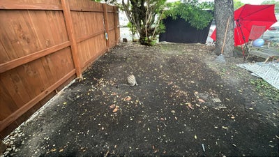 Quiet Home Miami 2 BDR / Responsible Plp Only Main Photo