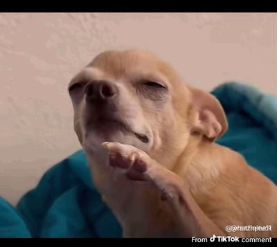 Room wanted in Philadelphia Main Photo