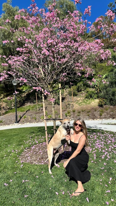 Room for Rent in Townhouse  Main Photo