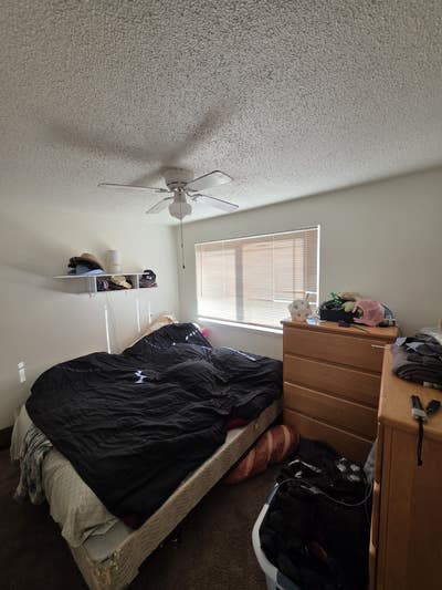 Room for rent - Tacoma Mall Main Photo