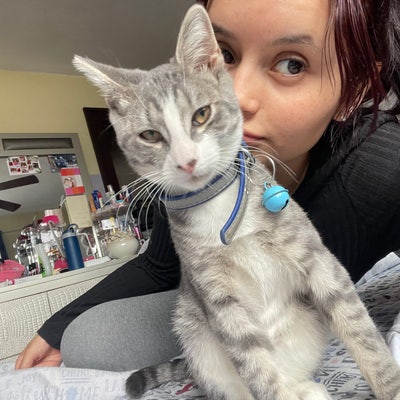 Room wanted in Saugerties New York  Main Photo