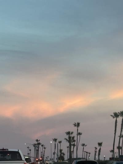 Reliable roommate looking for West Hollywood room Main Photo