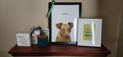 Room wanted in Mckinney, TX Main Photo