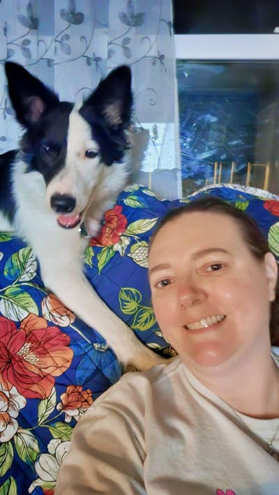 Room wanted in Rock Hill, SC Main Photo