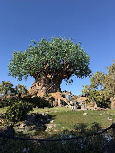 Room wanted in New york Main Photo