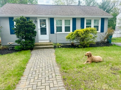 Looking for a housemate!  Main Photo