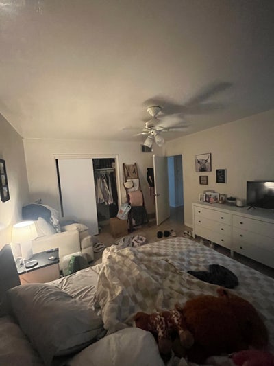 Female roommates wanted Main Photo