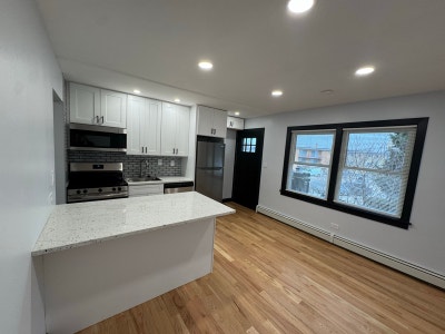 Fully Remodeled 1BRBA_Edison Park_Parking + In_Uni Main Photo