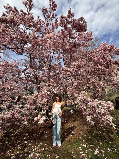 Room wanted in NYC Main Photo