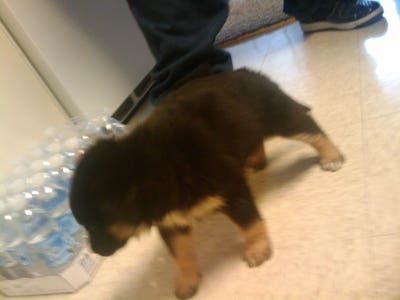 Room wanted in Tampa Main Photo