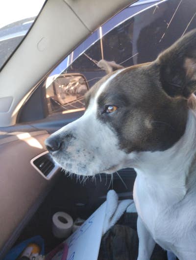 Room needed by professional couple Main Photo