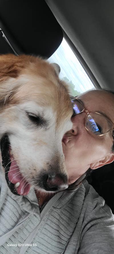 Room wanted in Babylon ny Main Photo