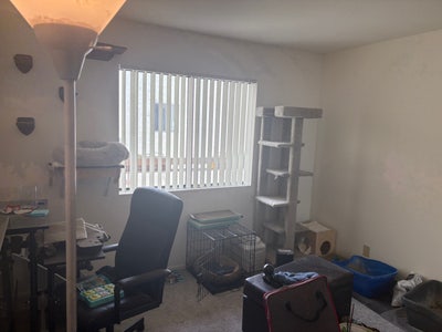 Room available!!! 2 Bed 2 Bath in West Hollywood!! Main Photo