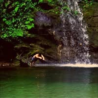 Room wanted in NYC Main Photo