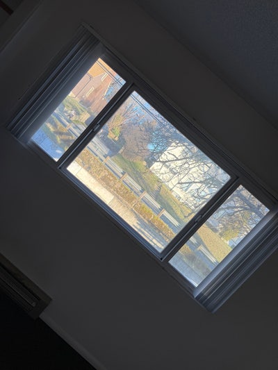 Looking for a roommate!  Main Photo