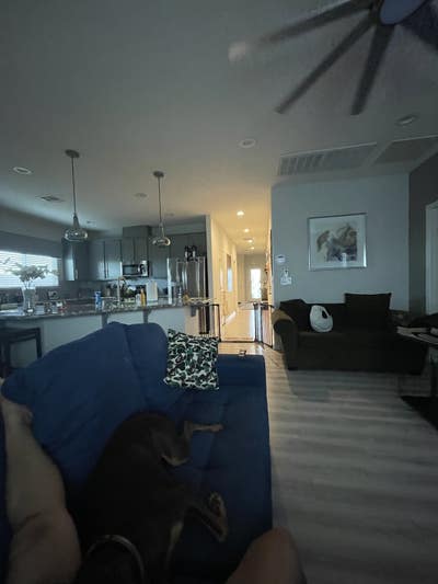 Bright room is spacious 3 bedroom house Main Photo