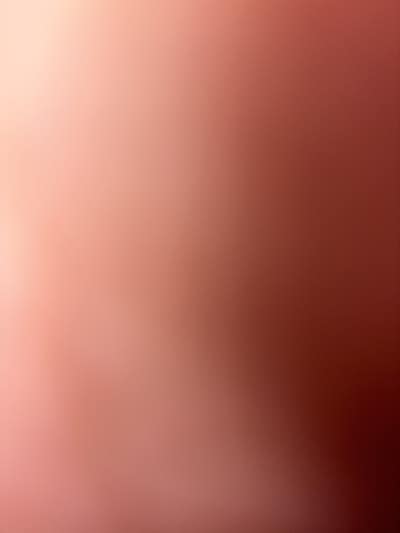 Room wanted in New York Main Photo