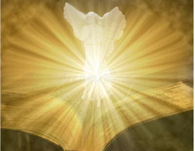 Room wanted in Austin, TX Main Photo