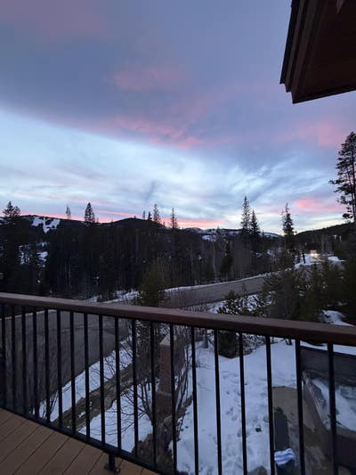 Room wanted in Tampa Main Photo