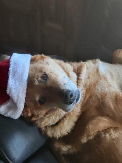 Room wanted in Lawnside, NJ Main Photo