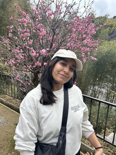 Room wanted in NYC Main Photo