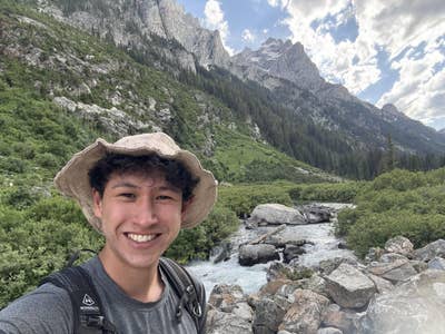 Room wanted in Crown Heights, Brooklyn, NY Main Photo