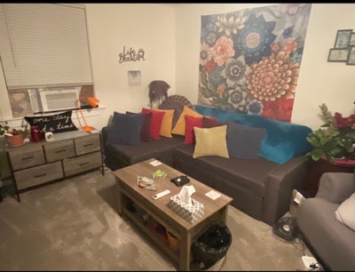 Looking for a roommate Main Photo