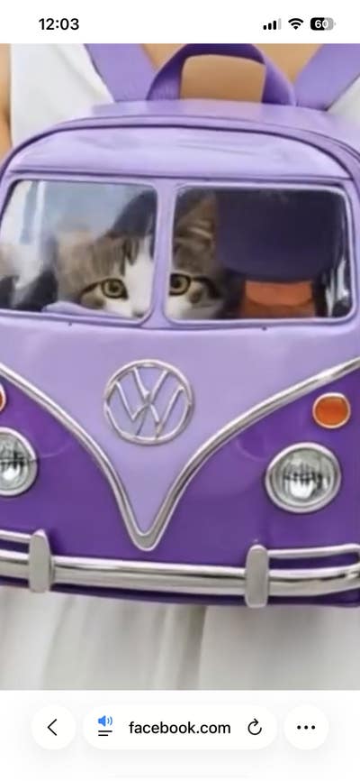 Room wanted in Bronx, NY Main Photo