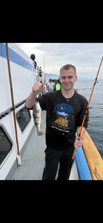 Room wanted in Phoenix Main Photo