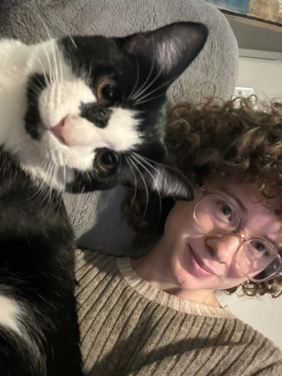 Room wanted in Tampa Main Photo